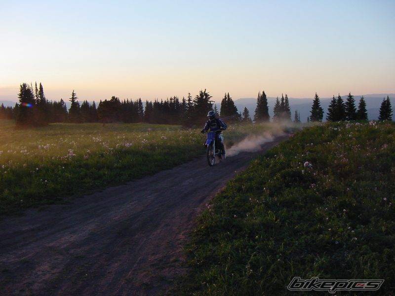 Photo 533174