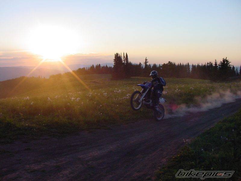 Photo 533176
