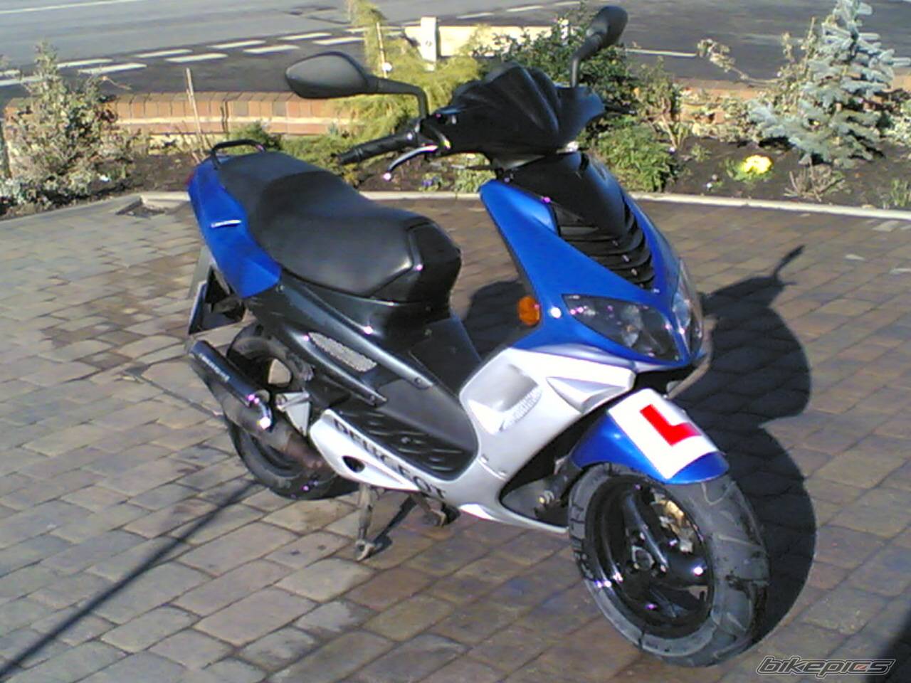 Bike Photo 533332