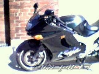 Photo 5334