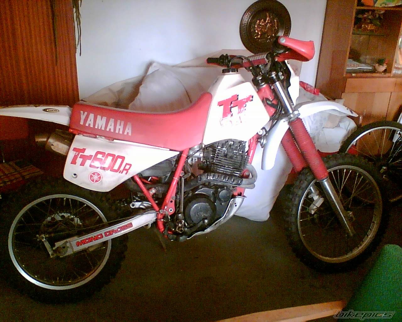 Bike Photo 533469