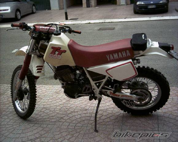 Bike Photo 533478