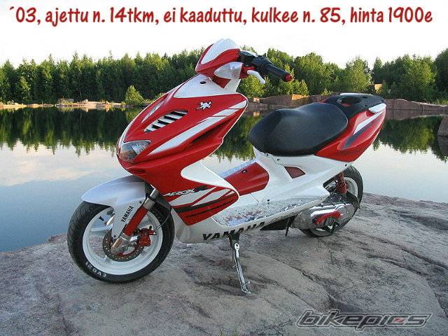Bike Photo 533624