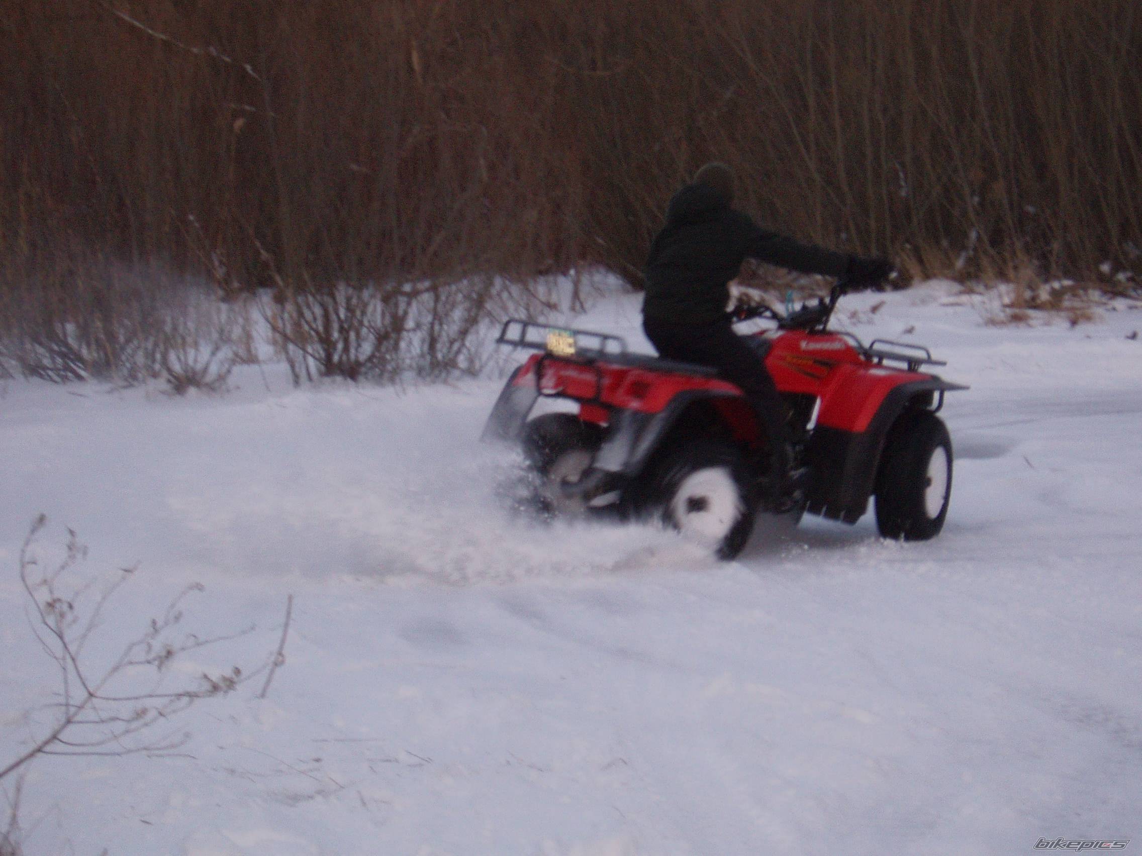 Photo 533755