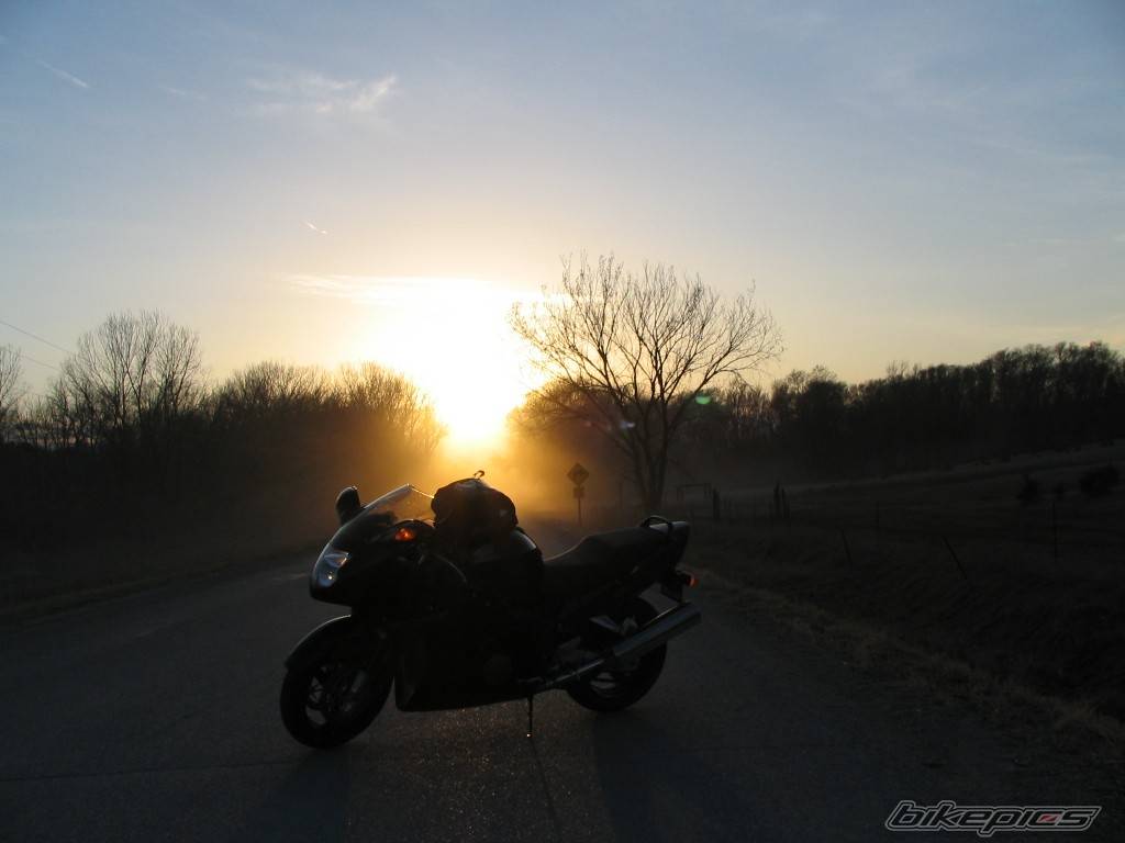 Photo 533781