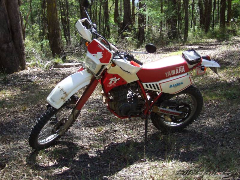Bike Photo 533829