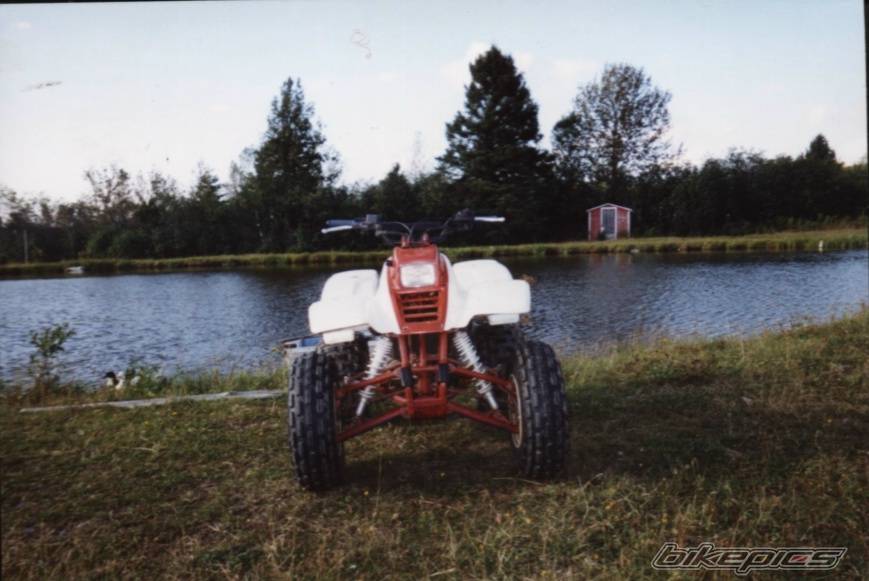 Photo 53384