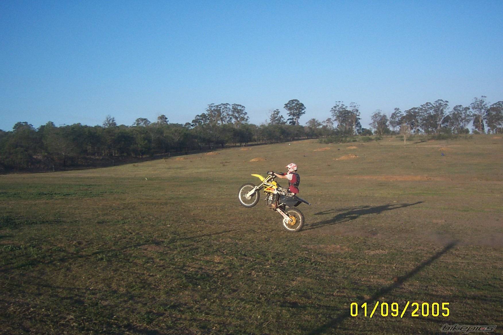 Photo 533901