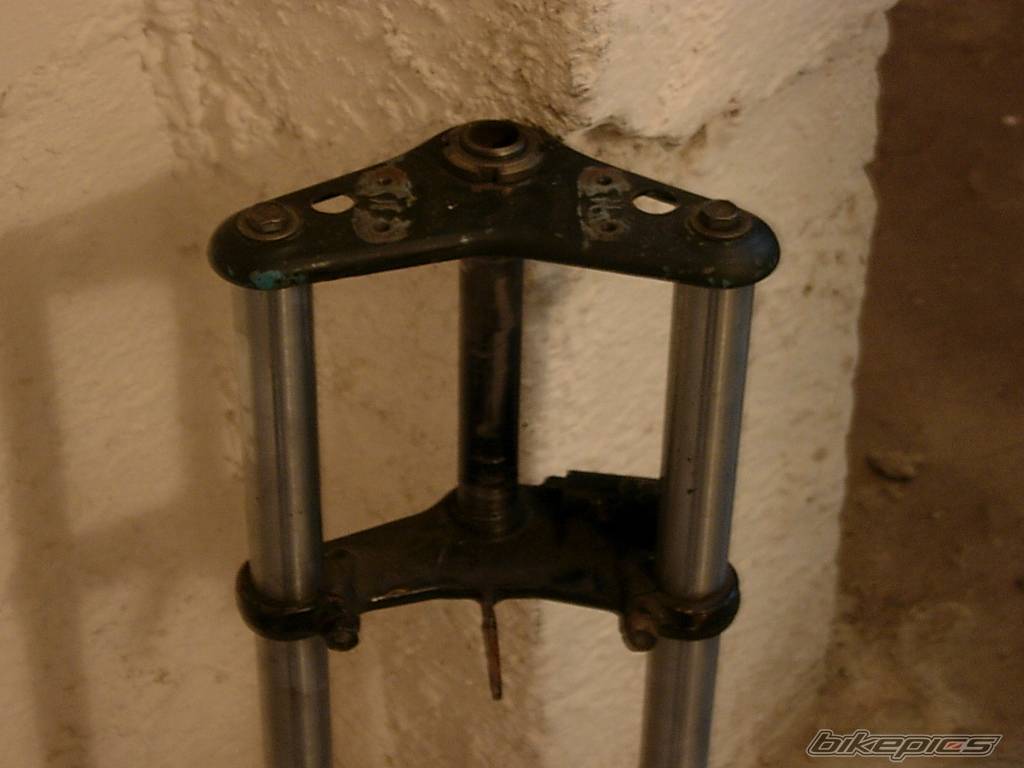 Bike Photo 533924