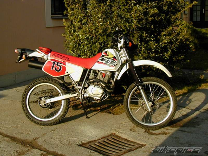 Bike Photo 53393