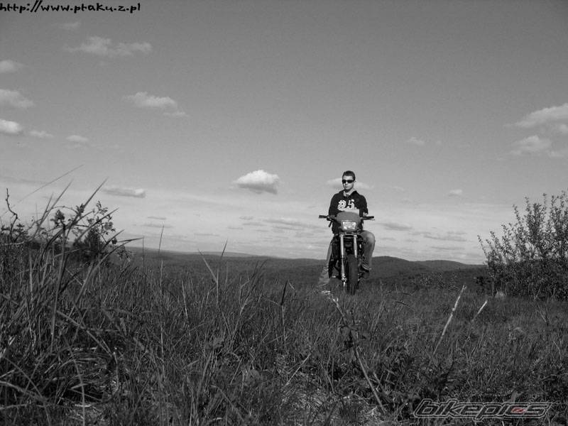 Photo 534027
