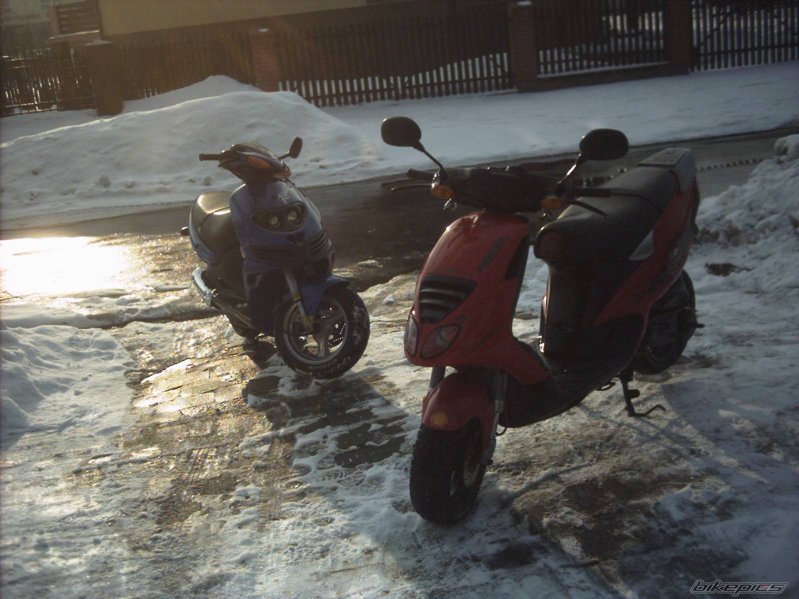 Photo 534067