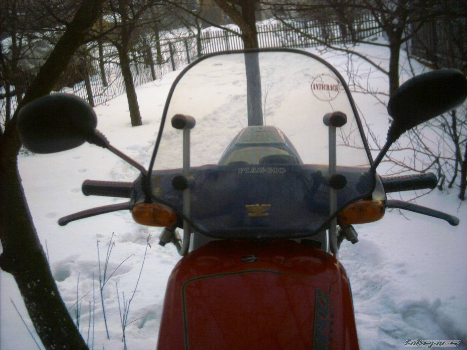 Photo 534216