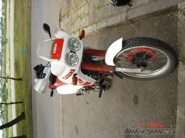 Bike Photo 534249
