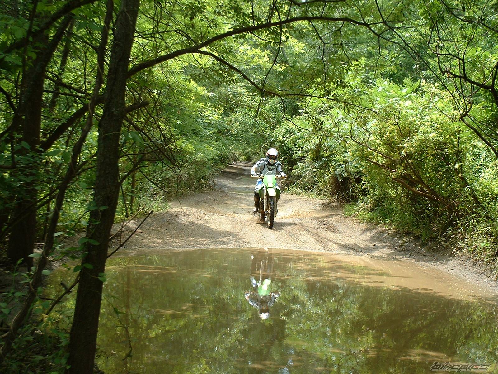 Bike Photo 53431
