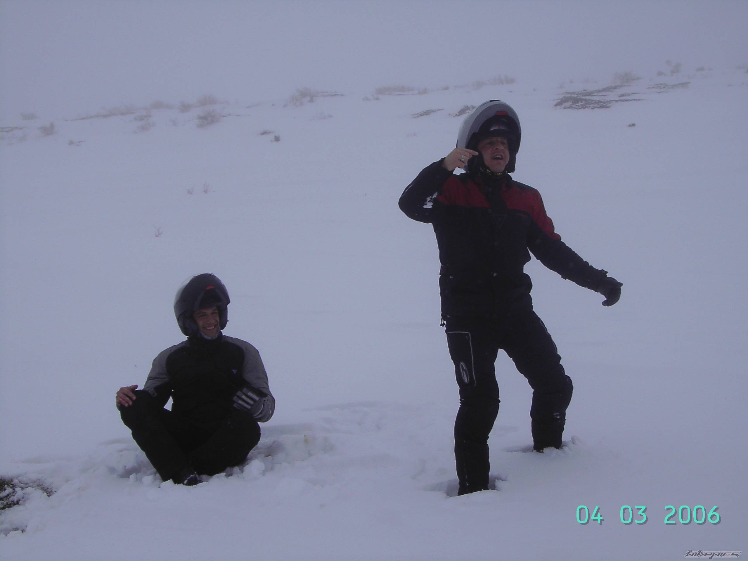 Photo 534387