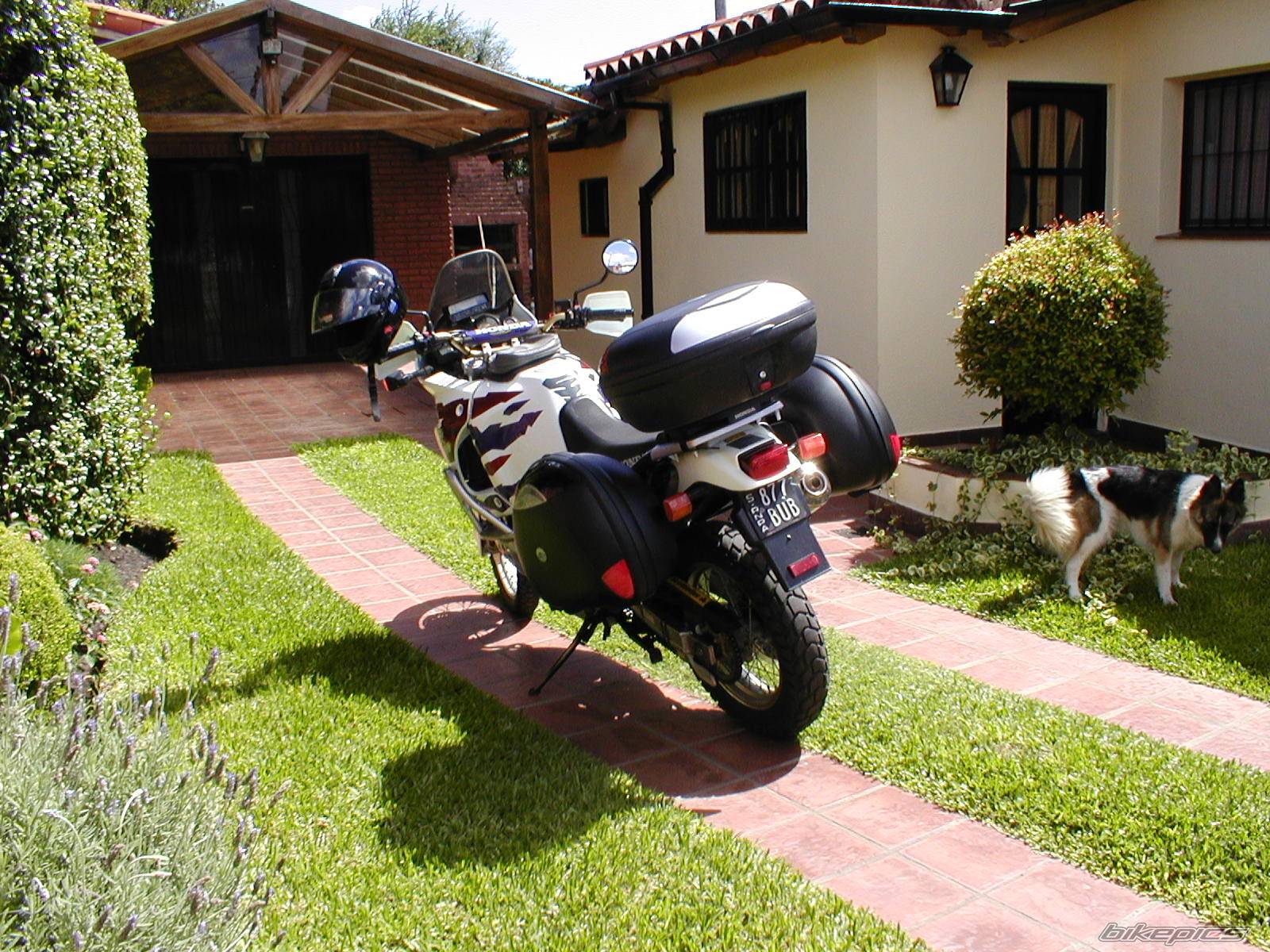 Bike Photo 534517