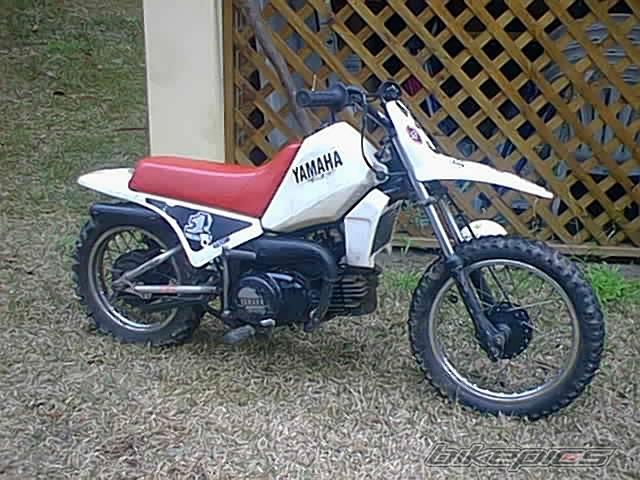 Bike Photo 53505