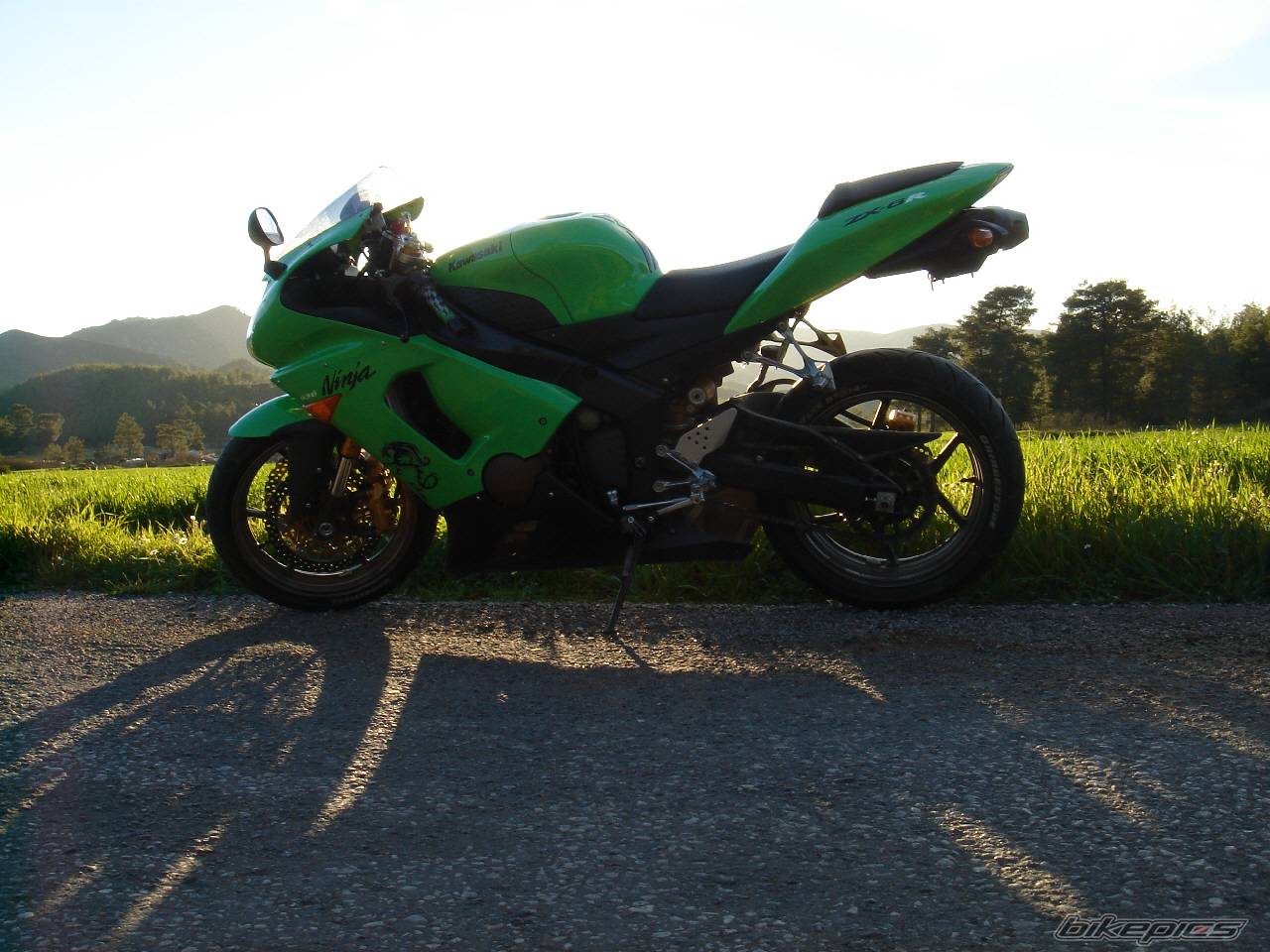Photo 535668