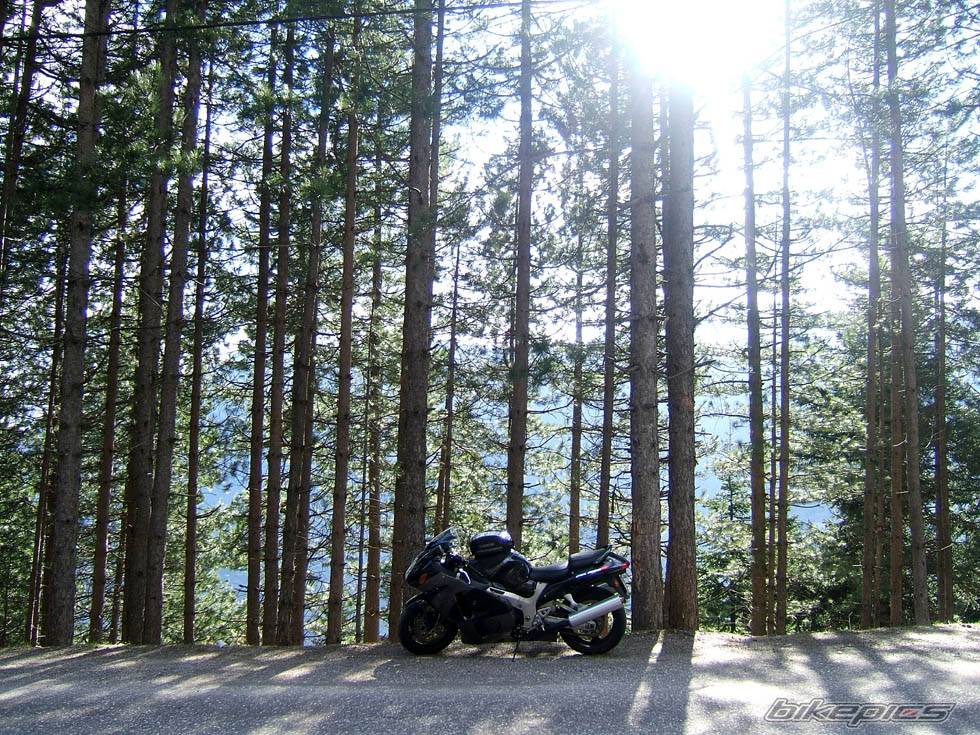 Bike Photo 535709