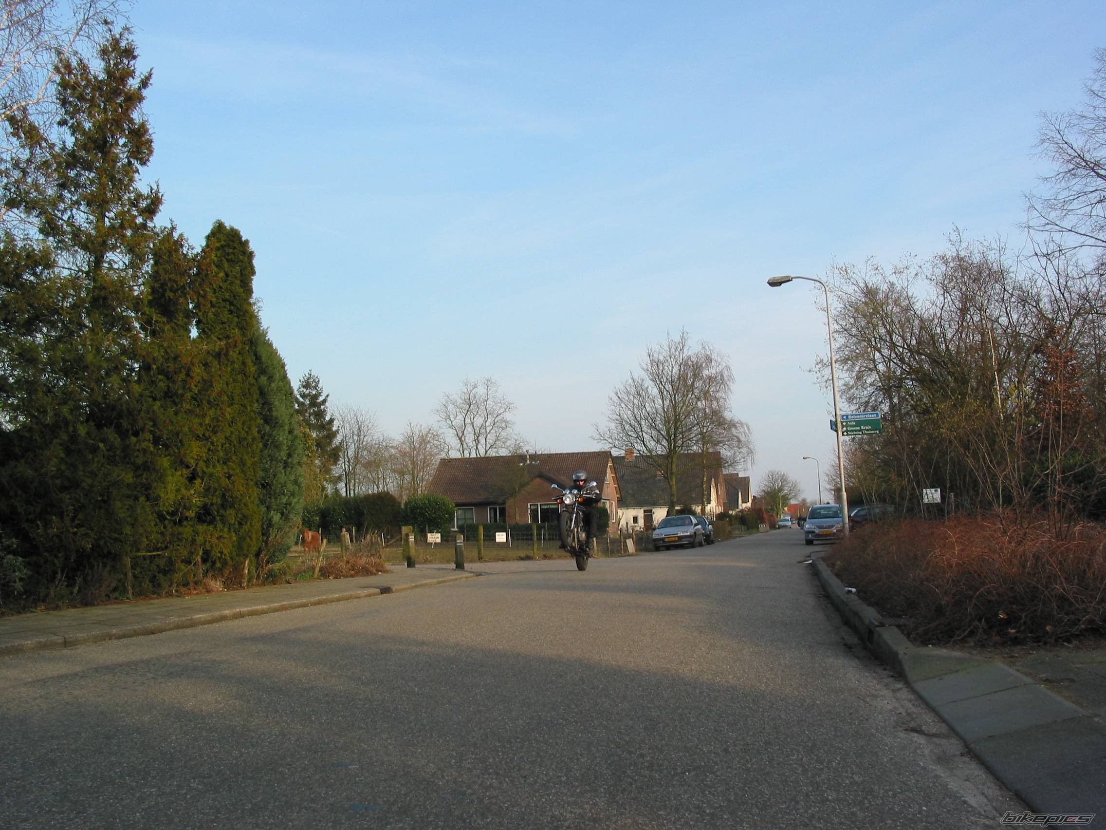 Photo 535733
