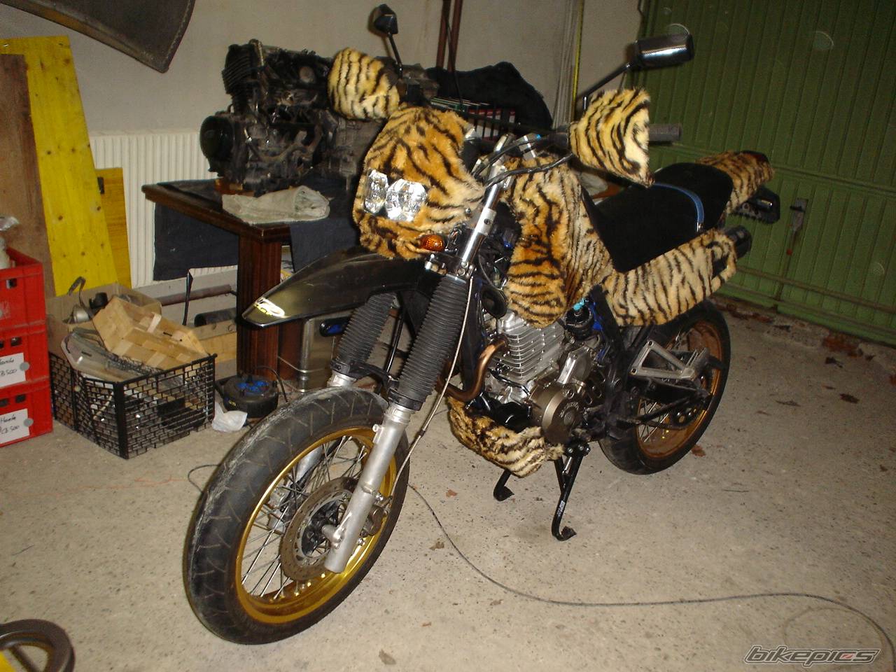 Bike Photo 536225