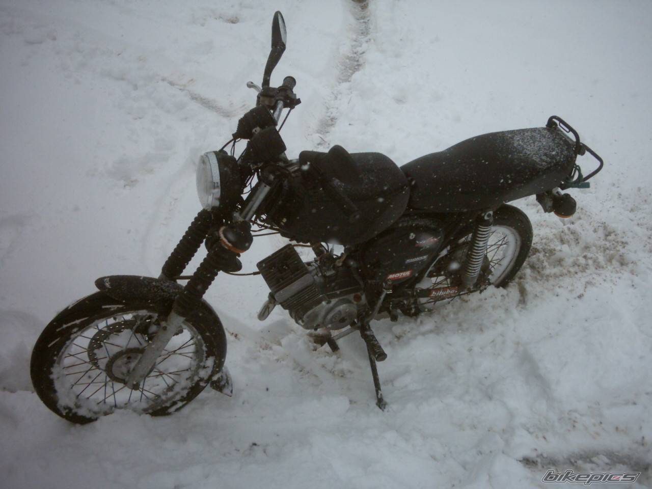 Photo 536532