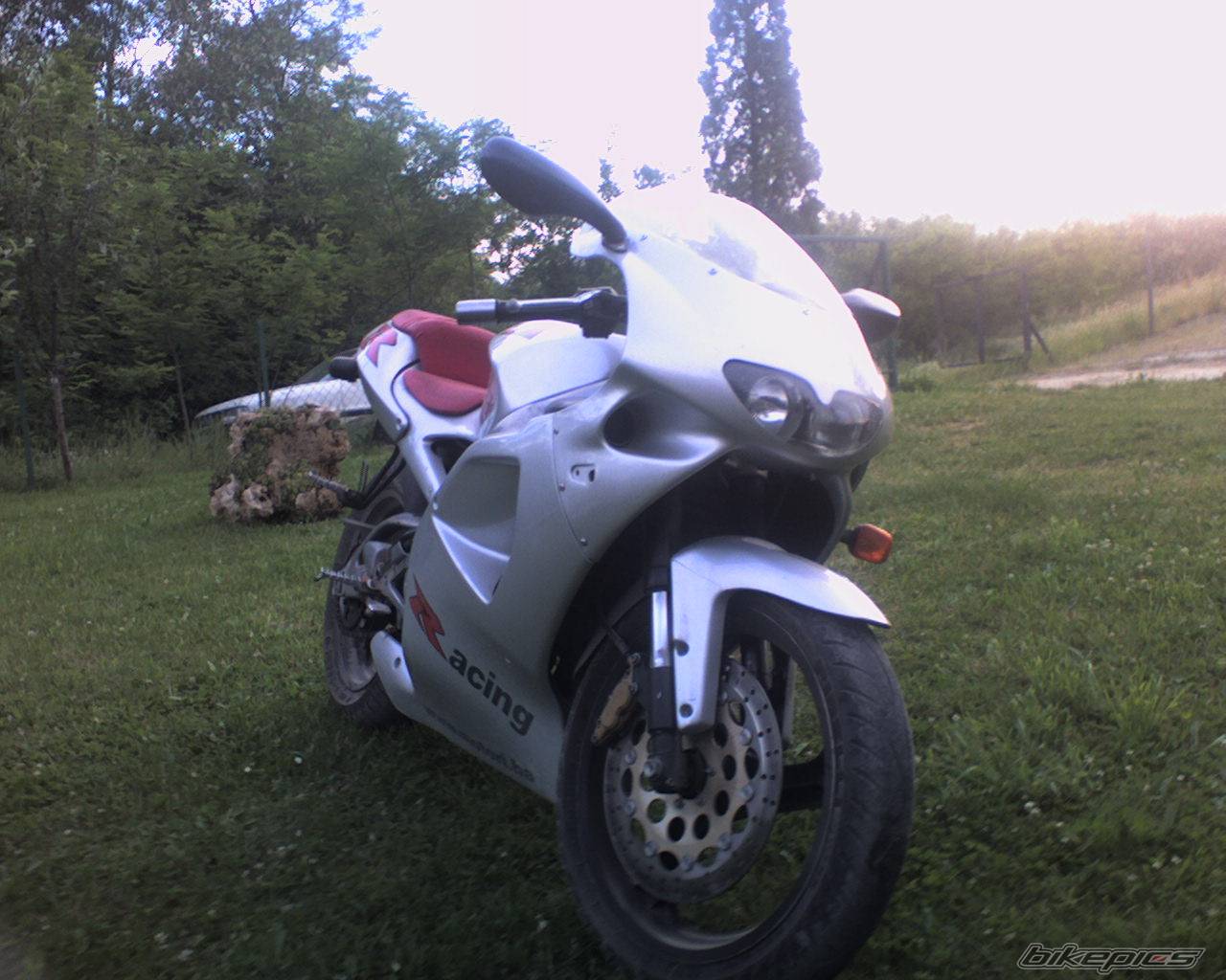 Photo 536992