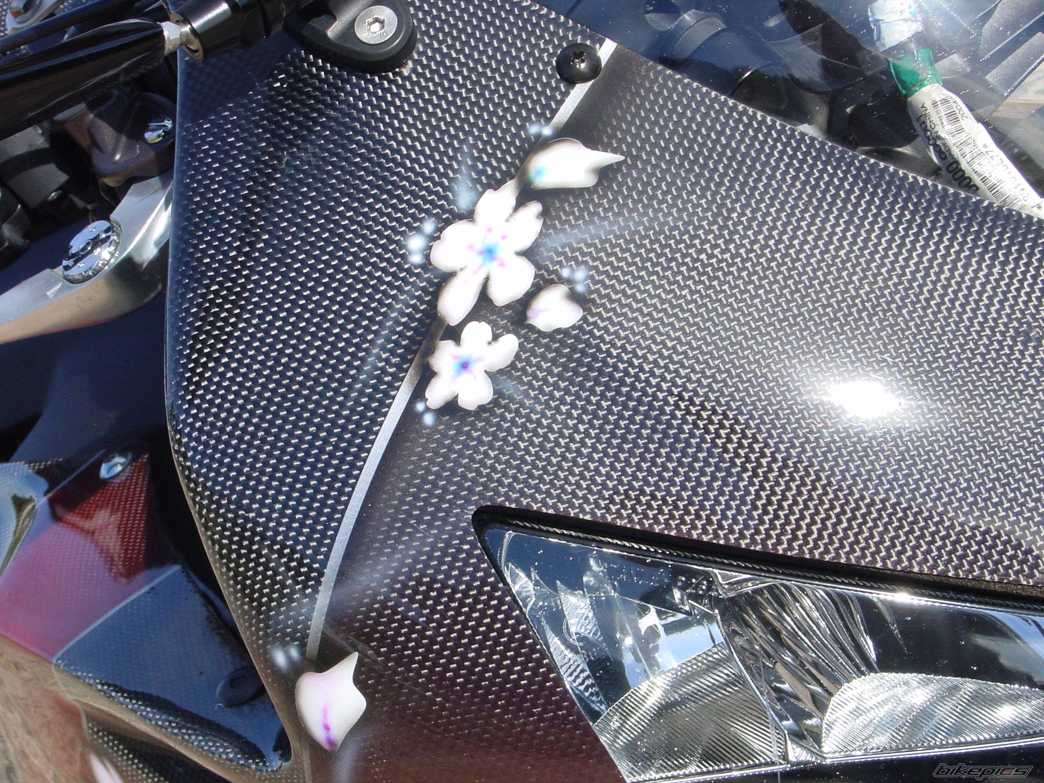 Bike Photo 537403