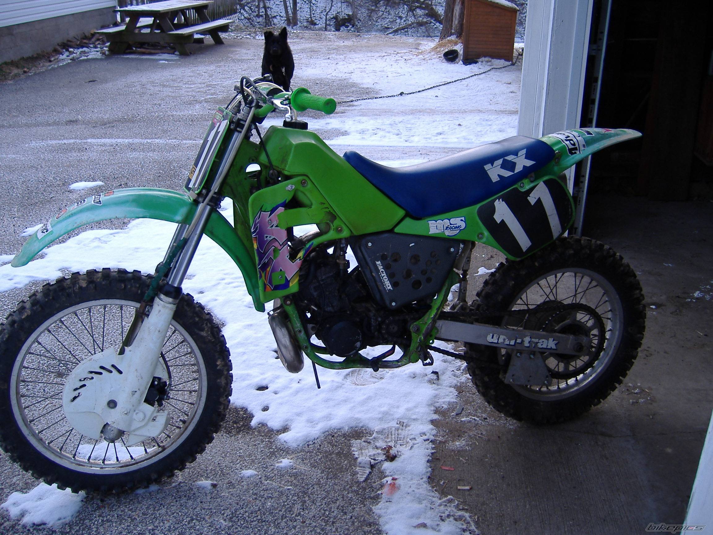 Bike Photo 537482