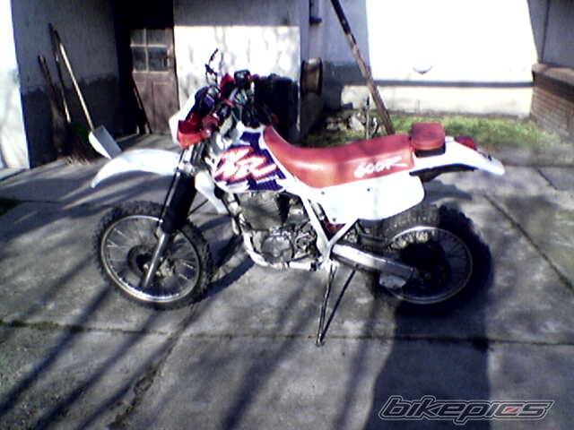 Bike Photo 537529