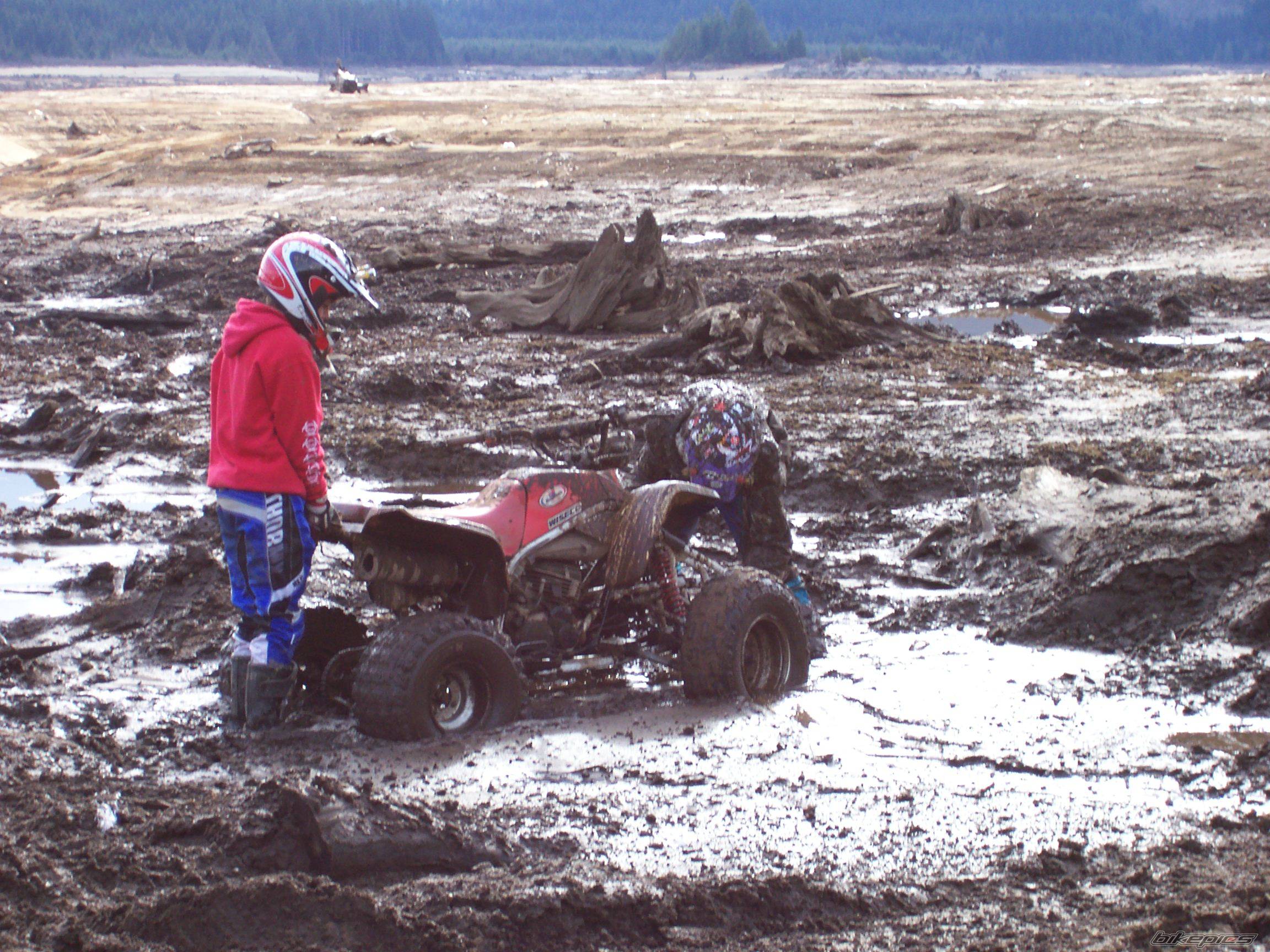 Bike Photo 537901