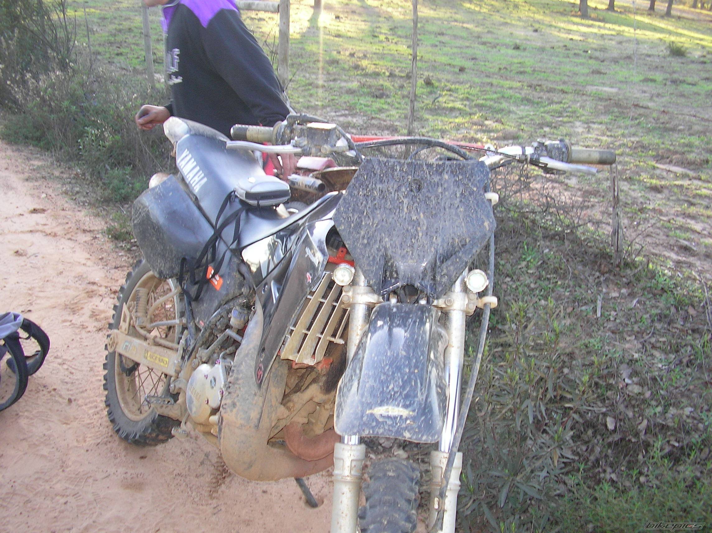 Bike Photo 538074