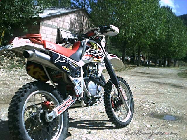 Bike Photo 5381