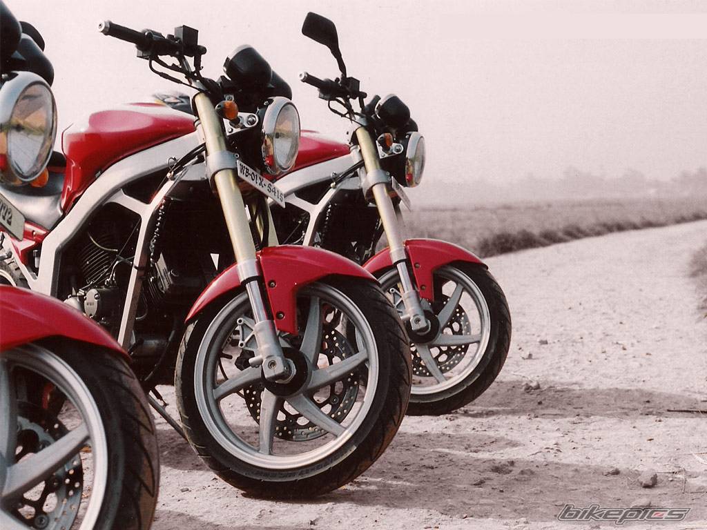Bike Photo 538184