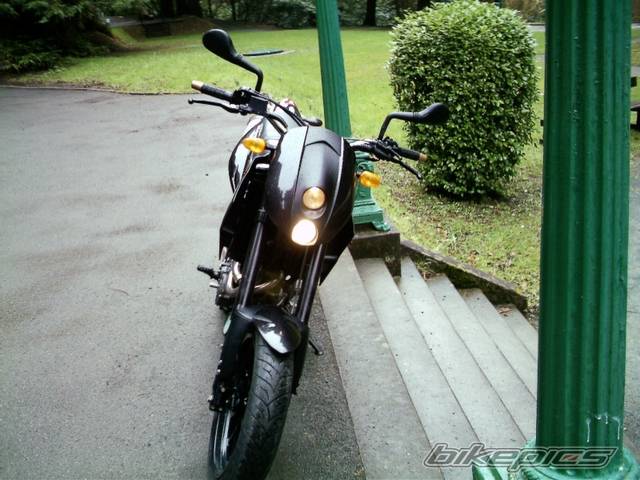 Photo 538234