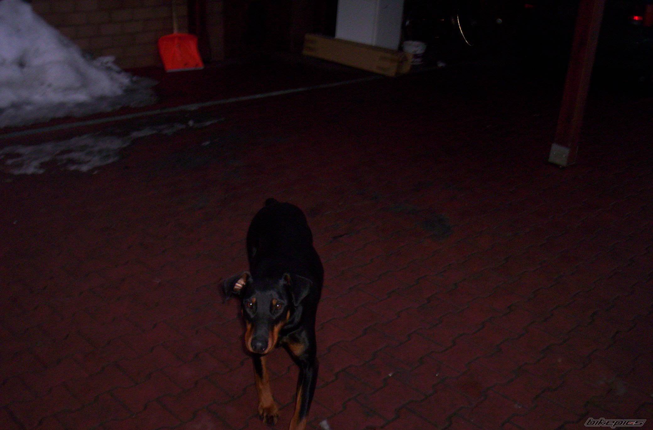 Photo 538363