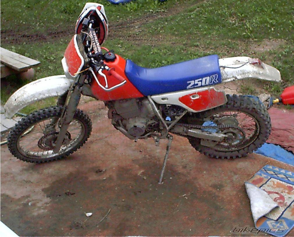 Bike Photo 53842