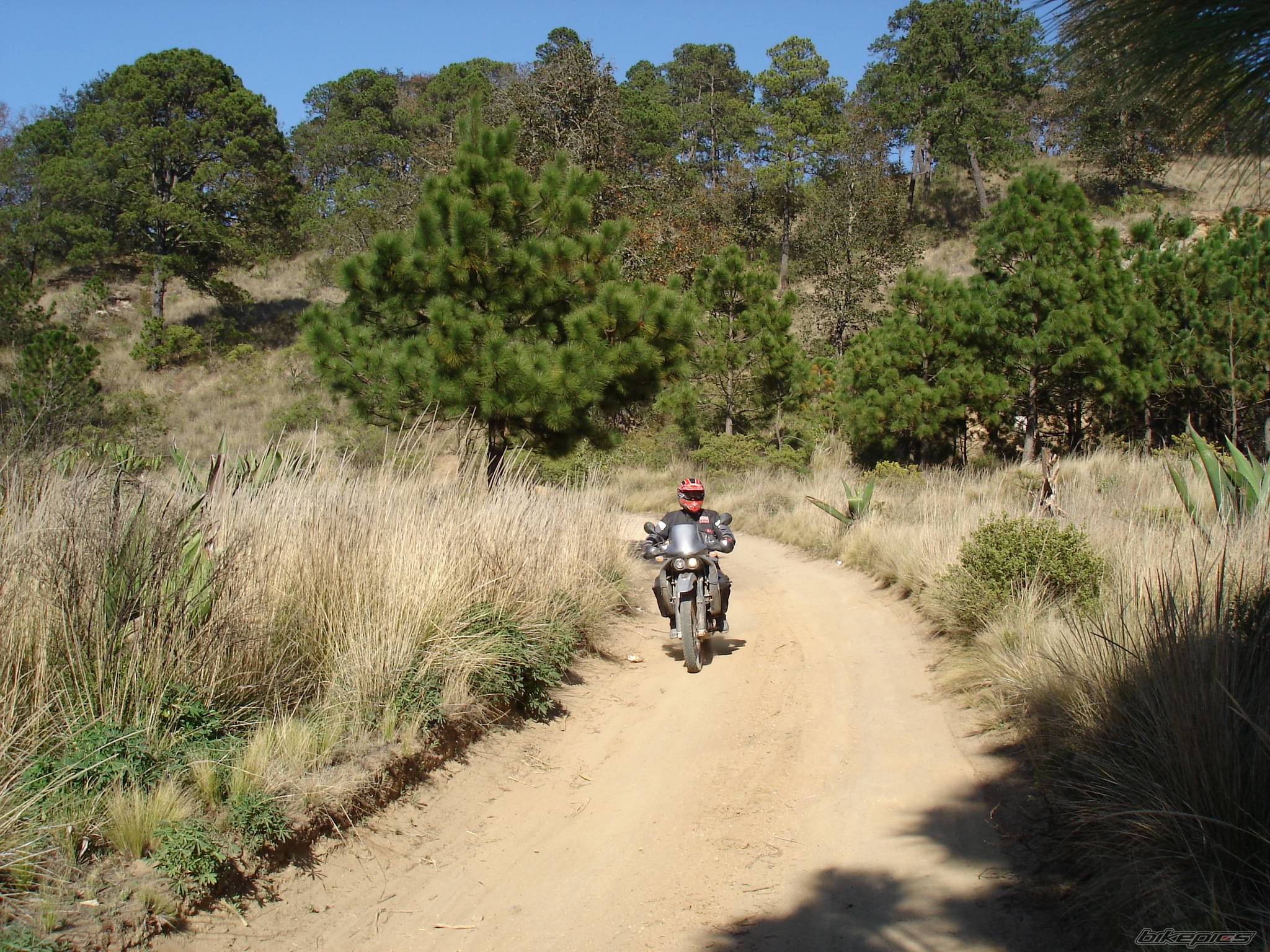 Bike Photo 538630