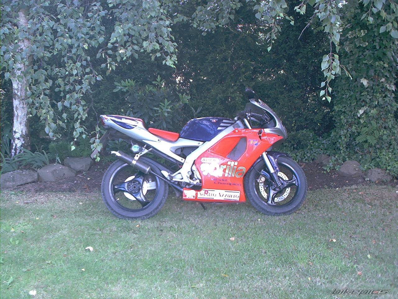 Bike Photo 53868