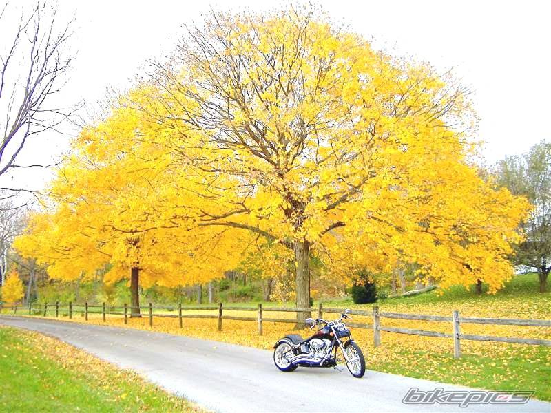 Bike Photo 538714