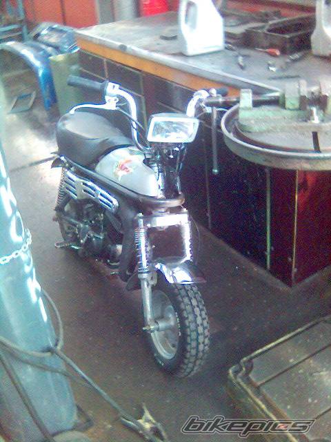 Photo 538852