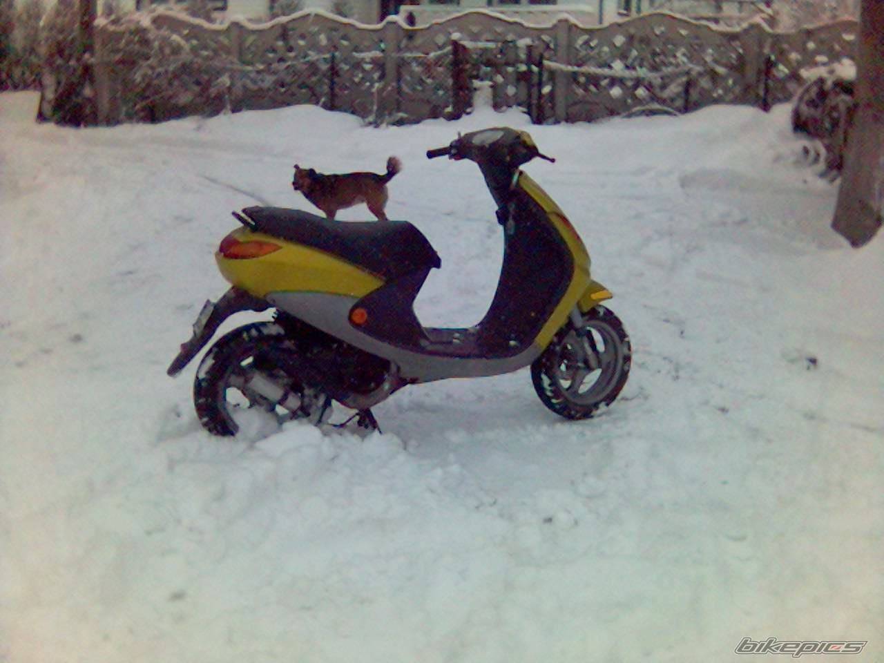Bike Photo 538884