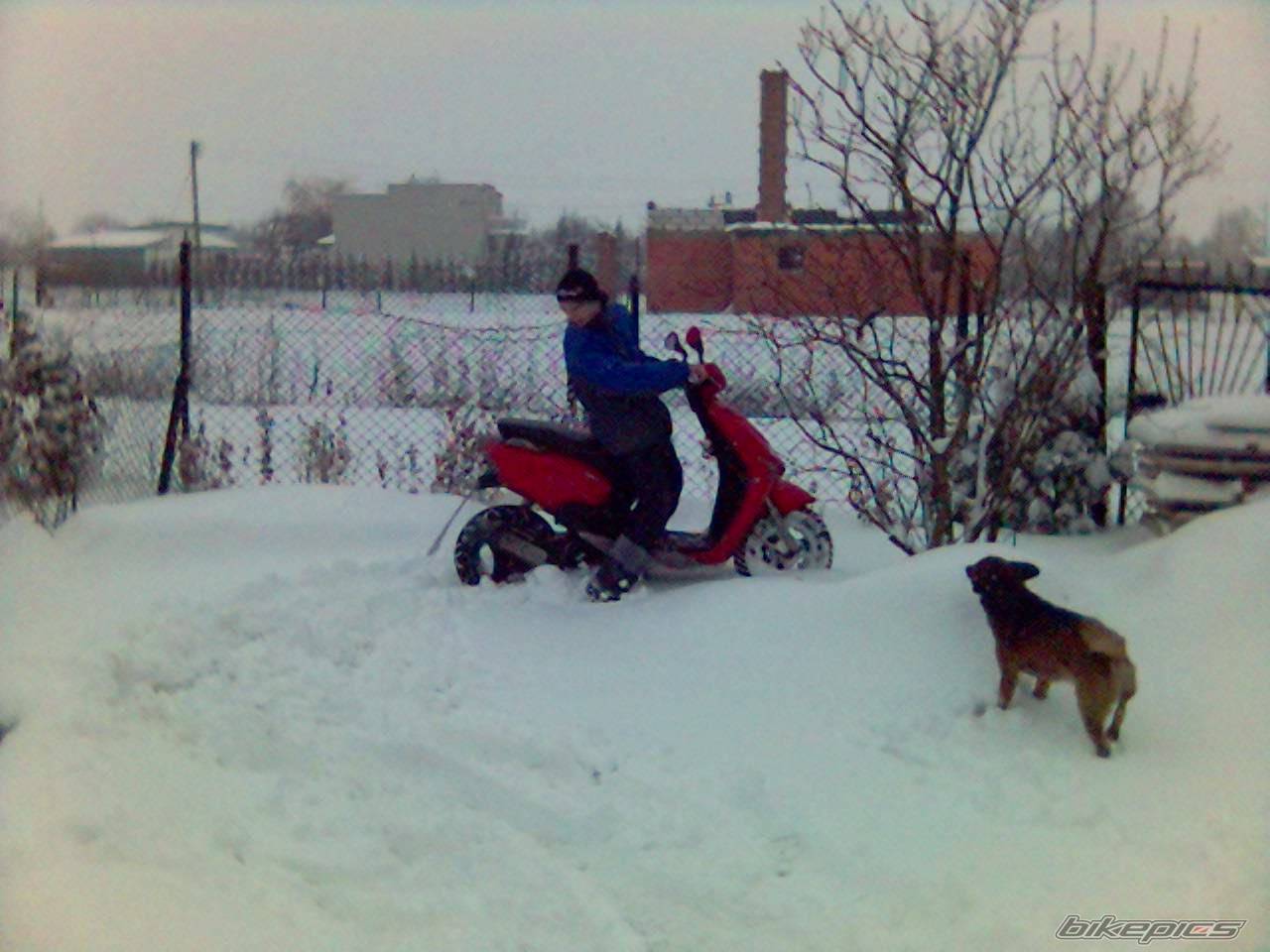 Bike Photo 538886