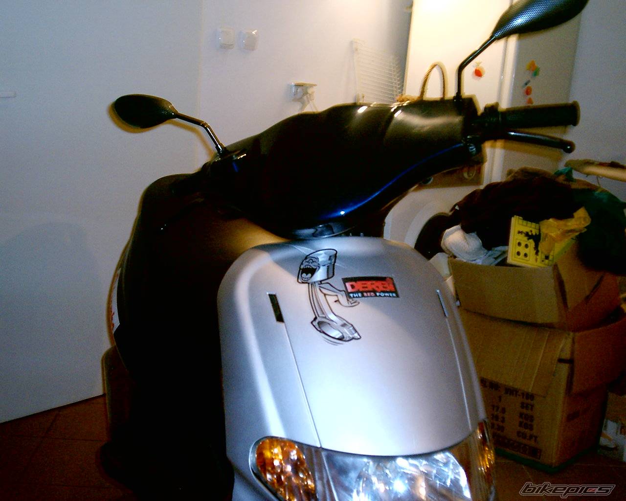 Photo 538961
