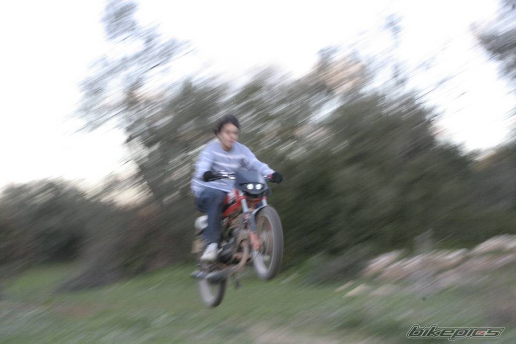 Photo 539313
