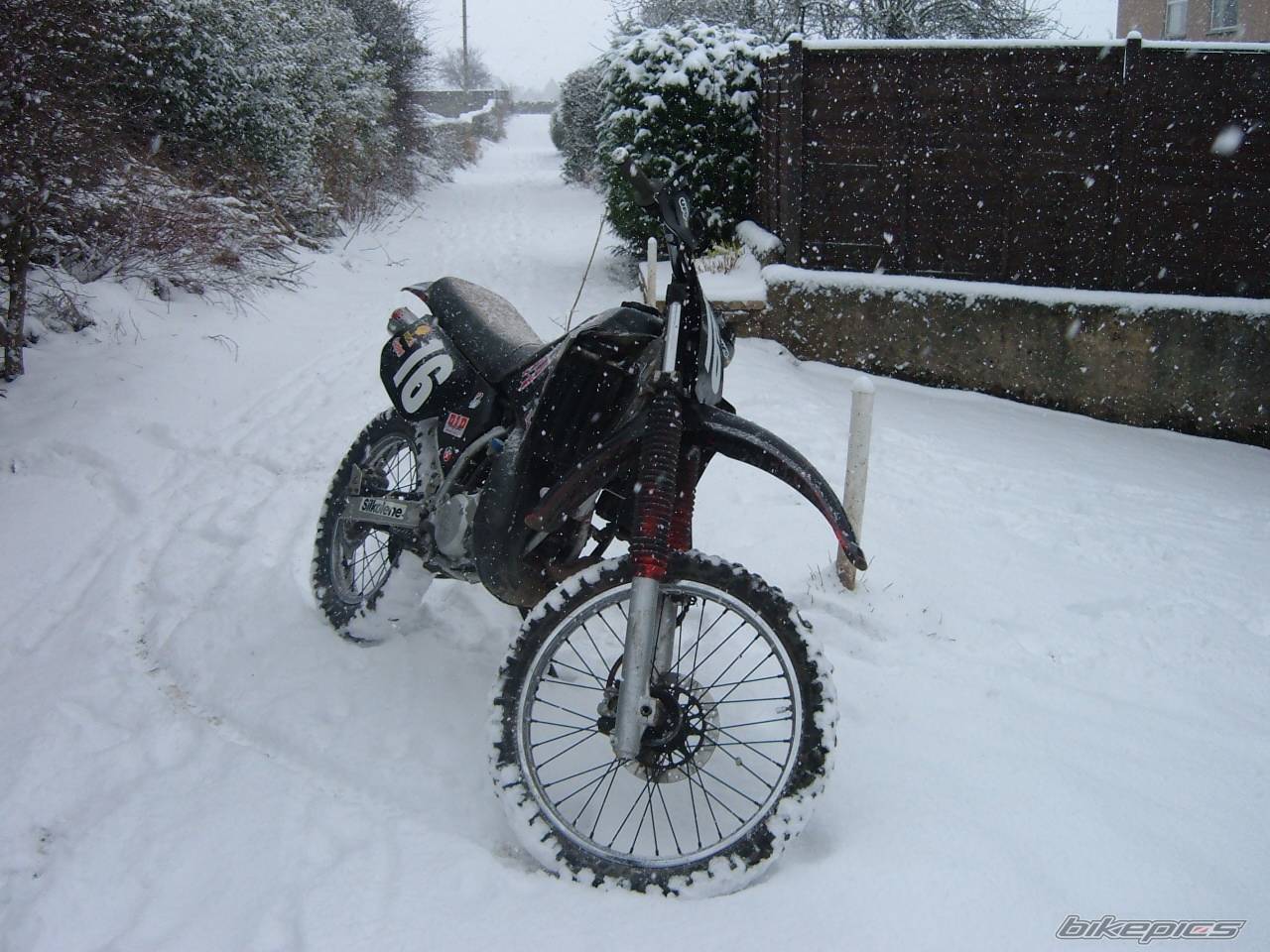 Bike Photo 539597