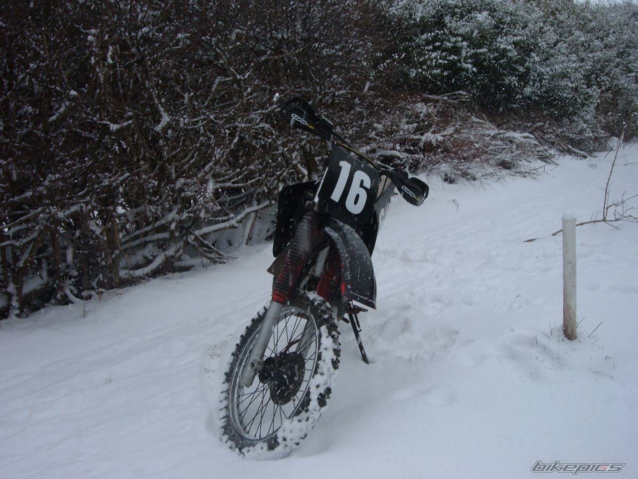 Bike Photo 539599