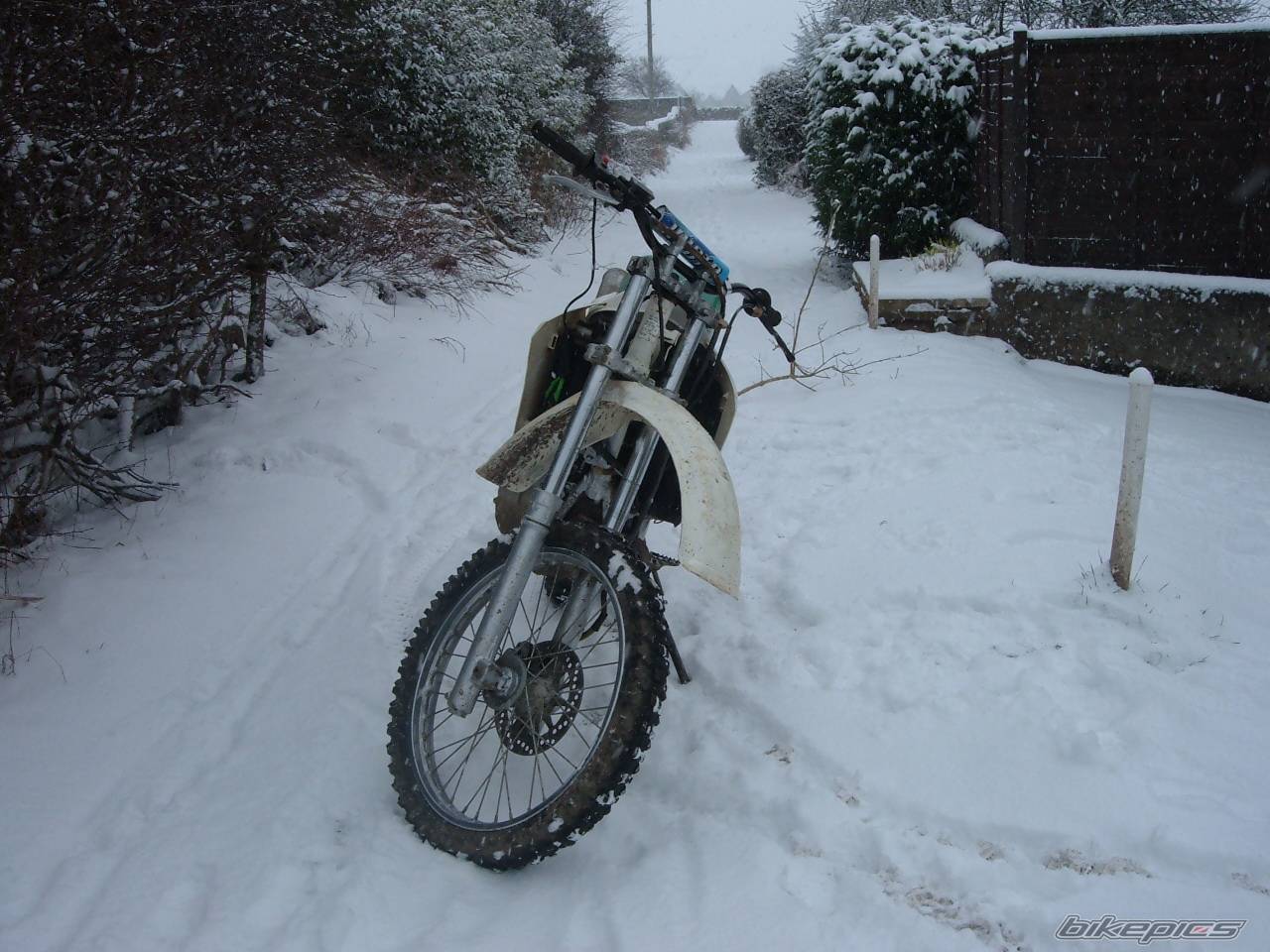 Bike Photo 539624