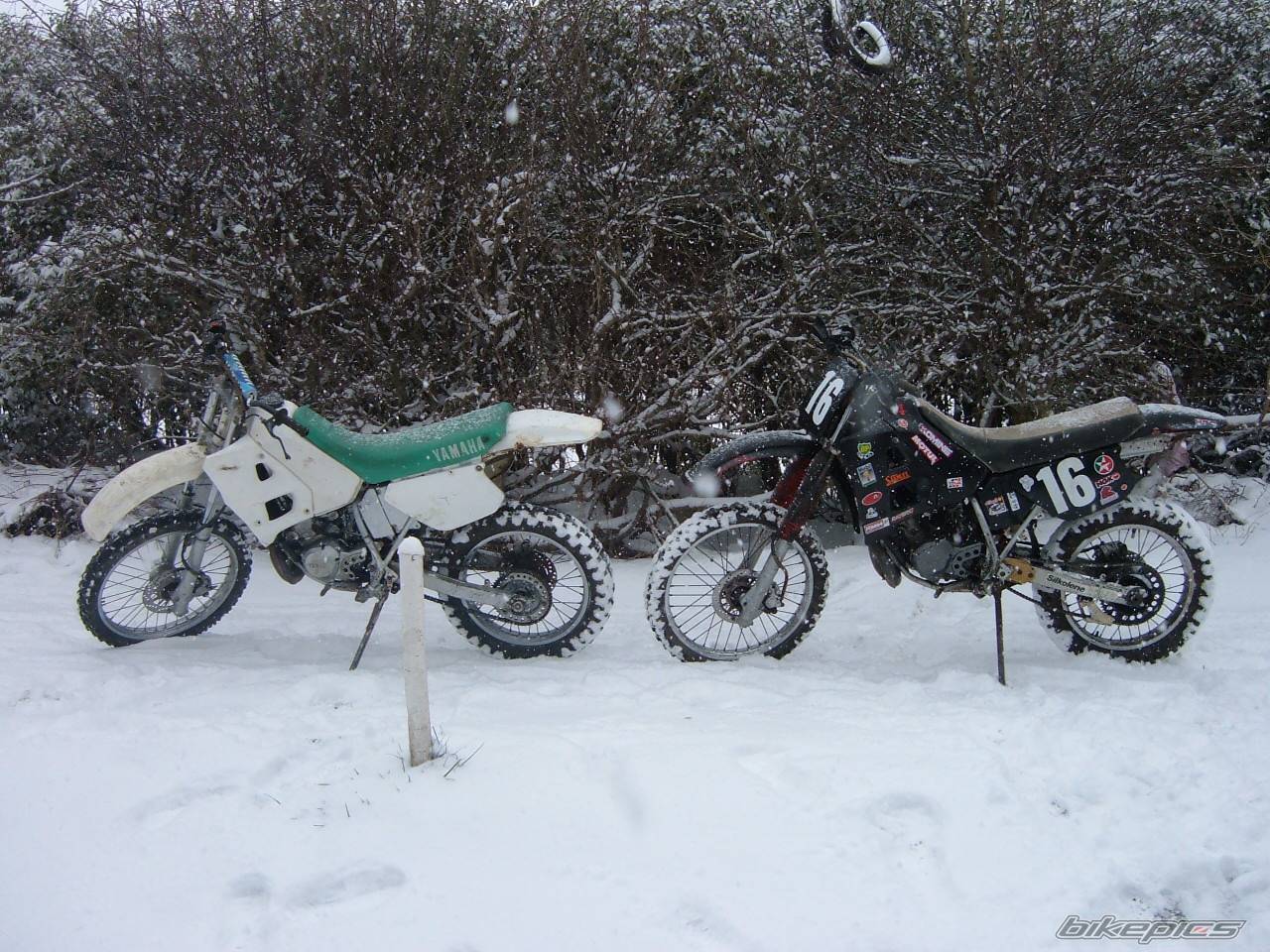 Photo 539636